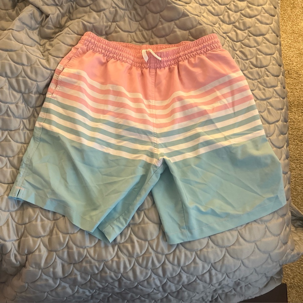 chubbies swim trunk shorts Large  7" On The Horizons Pink Blue Stripe Mesh Lined